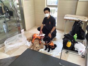 介助犬22023.JPG