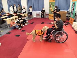 介助犬32023.JPG