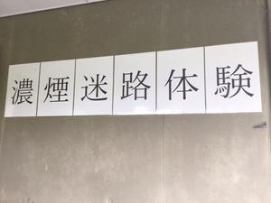 IMG_4610.JPG
