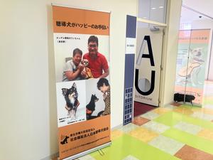 IMG_7088.jpeg